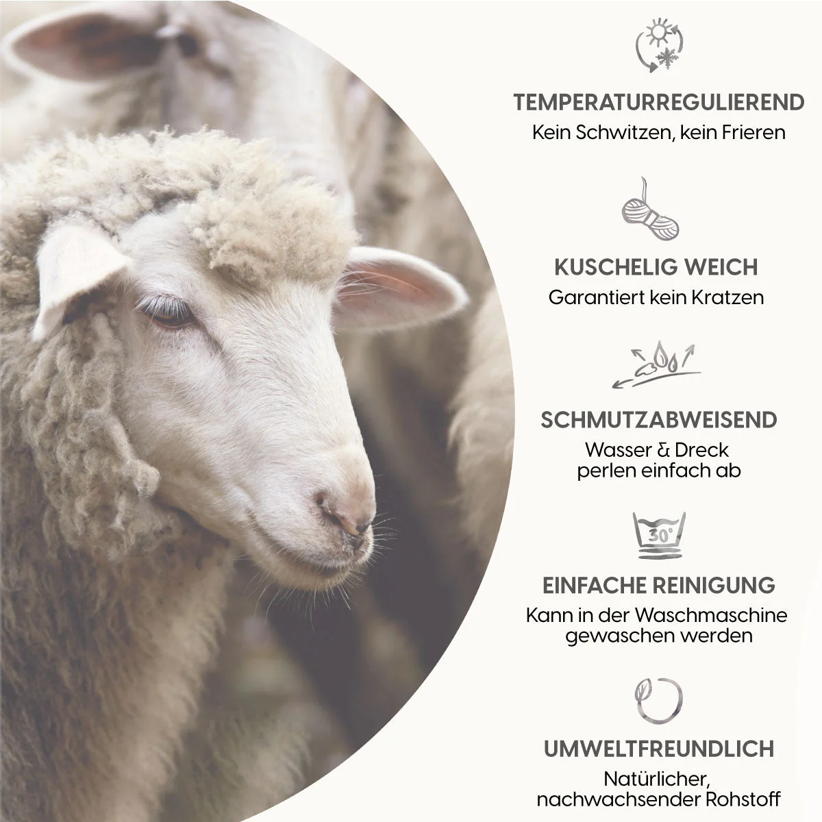 Vorschaubild 8