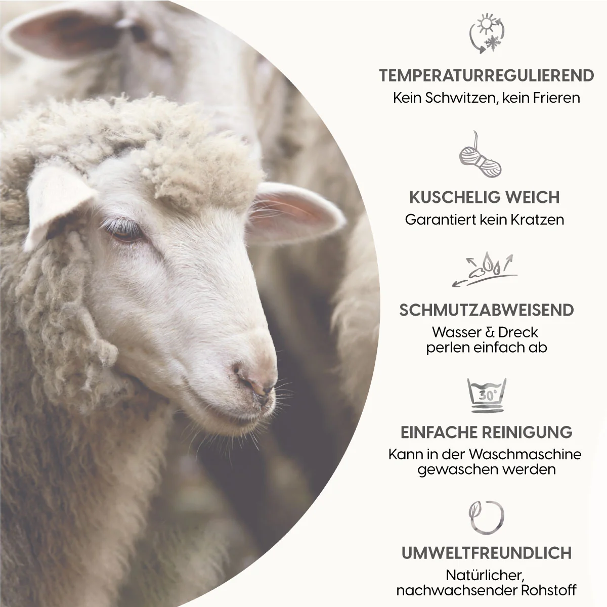 Vorschaubild 7